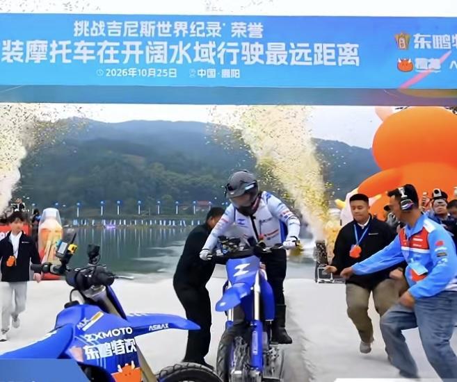 专业立即博服务