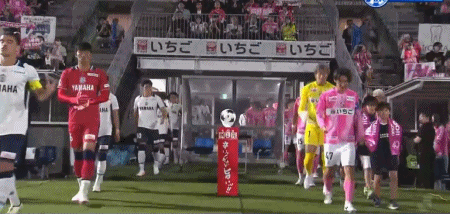 立即博案例展示